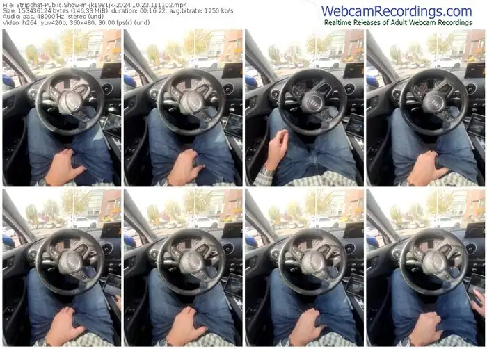 stripchat-jk1981jk-10-23-2024-11-11-02