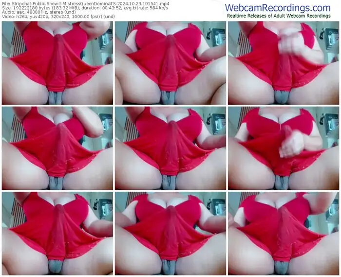 stripchat-mistressqueendominats-10-23-2024-19-15-41