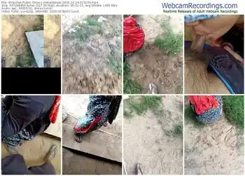 stripchat-indiankanak-10-24-2024-01-51-06