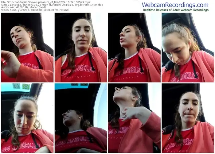 stripchat-pleasure_of_life-10-24-2024-13-35-49