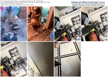 stripchat-xyztopbeing-10-24-2024-12-40-16