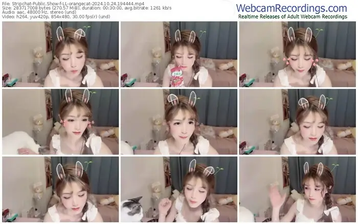 stripchat-ll-orangecat-10-24-2024-19-44-44