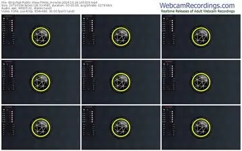 stripchat-miss_miracle-10-24-2024-16-53-19