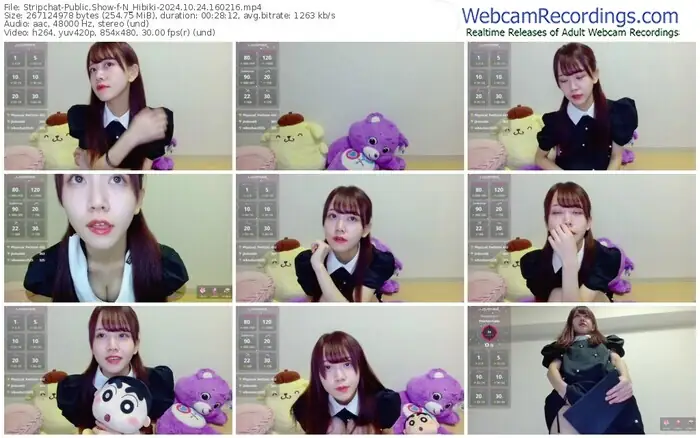 stripchat-n_hibiki-10-24-2024-16-02-16