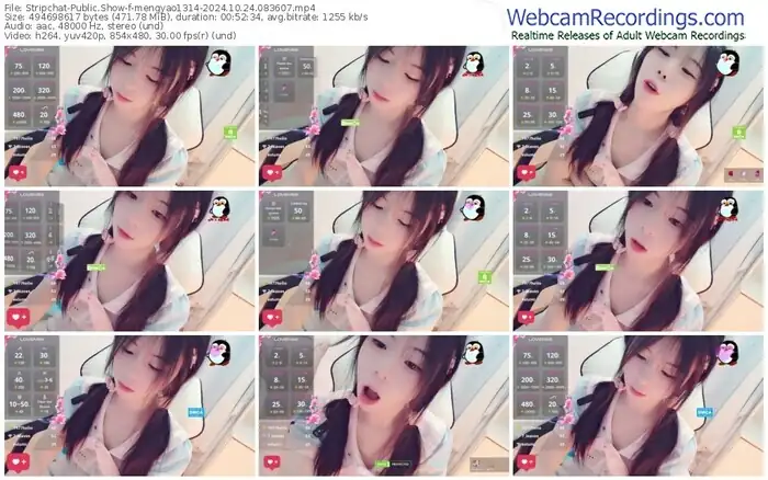 stripchat-mengyao1314-10-24-2024-08-36-07