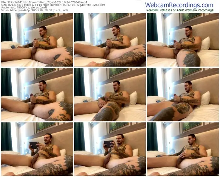 stripchat-hot__tiger-10-24-2024-07-06-46