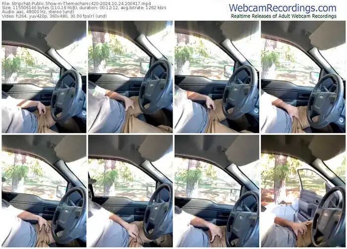 stripchat-themechanic420-10-24-2024-20-04-17