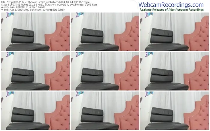 stripchat-steila_rochefort-10-24-2024-23-33-05