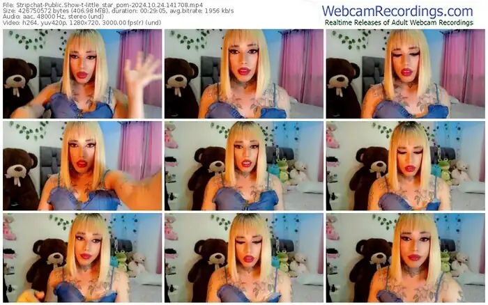 stripchat-little_star_porn-10-24-2024-14-17-08