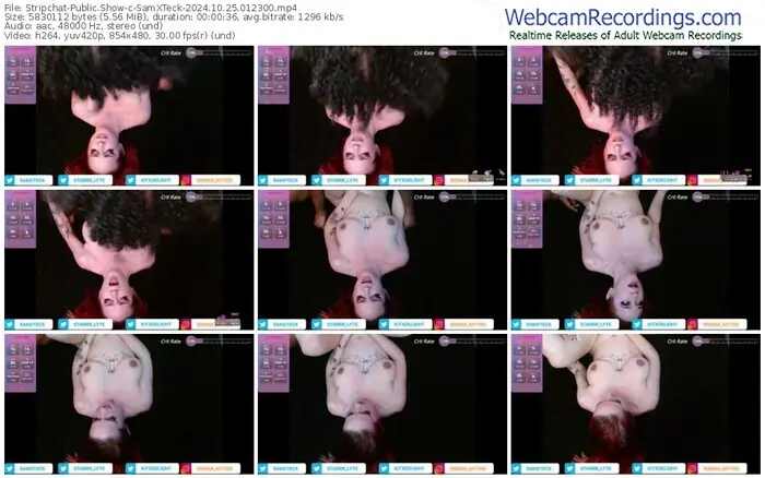 stripchat-samxteck-10-25-2024-01-23-00