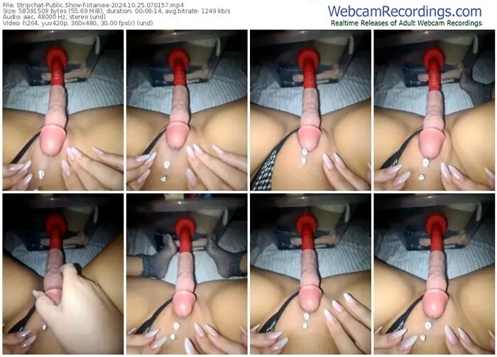 stripchat-iitaniee-10-25-2024-07-01-57