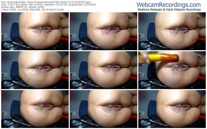 stripchat-vanessasweet2304-10-25-2024-00-50-36