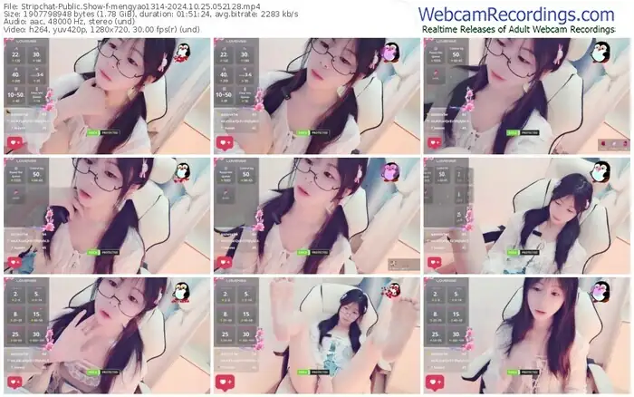 stripchat-mengyao1314-10-25-2024-05-21-28