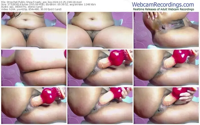 stripchat-nasty_ass_big-10-25-2024-23-41-18