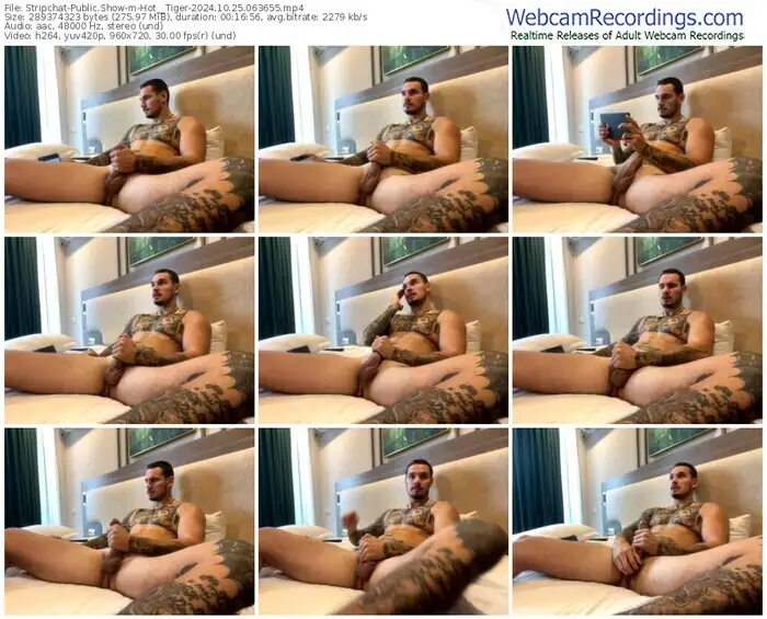 stripchat-hot__tiger-10-25-2024-06-36-55