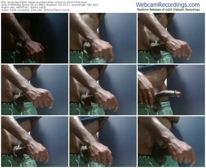 stripchat-phbbcsham-10-25-2024-04-14-39