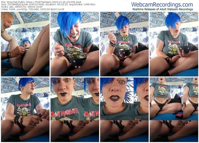 stripchat-pinkthehawk-10-26-2024-23-10-55