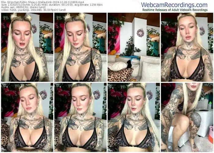 stripchat-stella-kink-10-26-2024-11-08-06