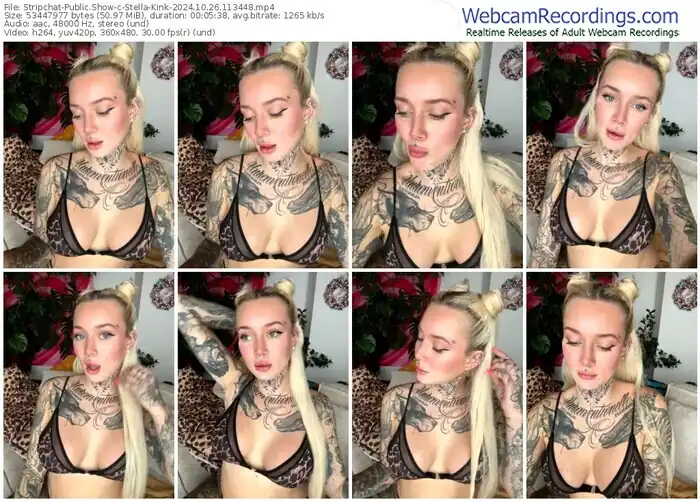 stripchat-stella-kink-10-26-2024-11-34-48