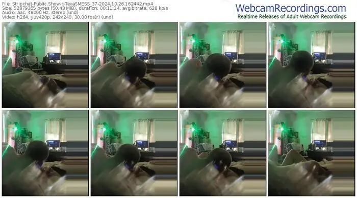 stripchat-texasmess_37-10-26-2024-16-24-42