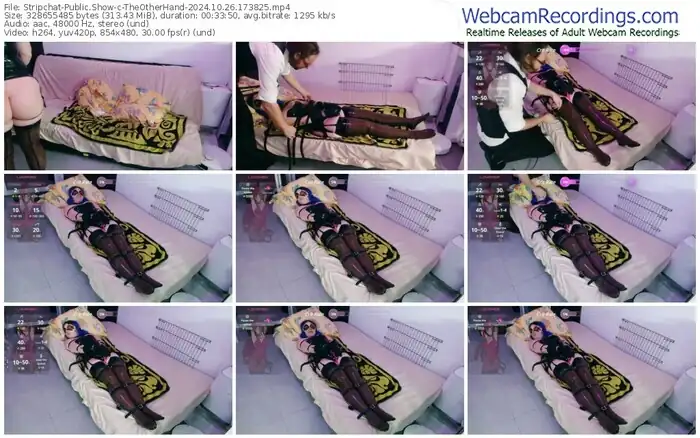 stripchat-theotherhand-10-26-2024-17-38-25