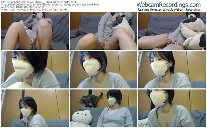 stripchat-rena__-10-26-2024-00-26-41