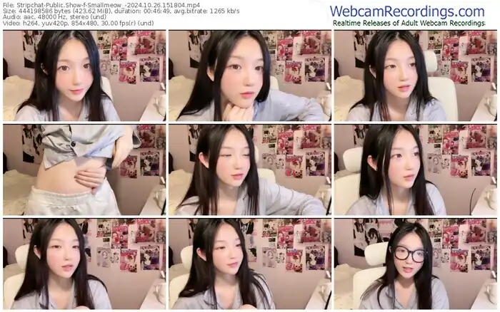 stripchat-smallmeow_-10-26-2024-15-18-04