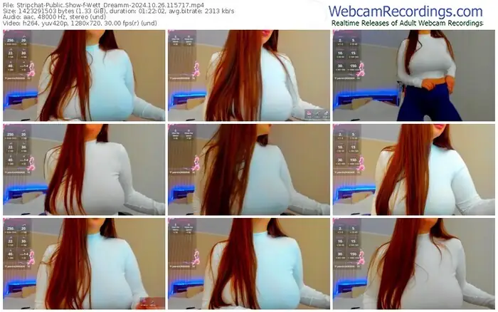 stripchat-wett_dreamm-10-26-2024-11-57-17