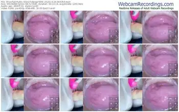 stripchat-danigirl866-10-26-2024-00-43-54