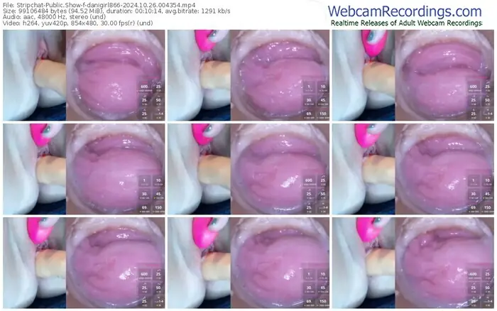 stripchat-danigirl866-10-26-2024-00-43-54