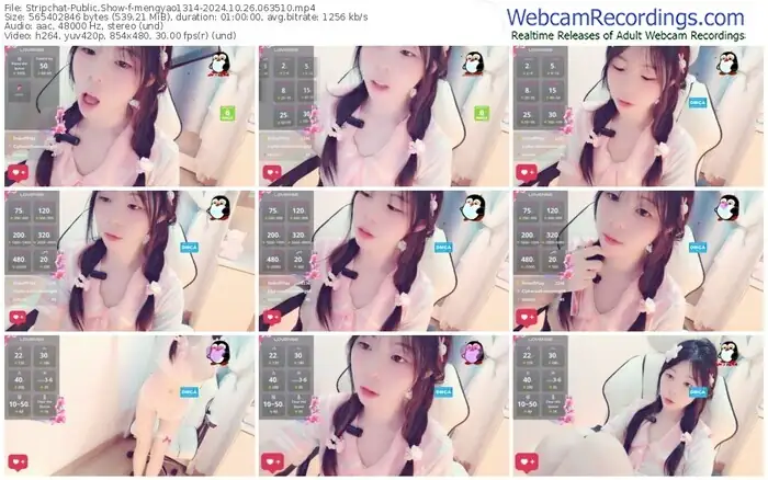 stripchat-mengyao1314-10-26-2024-06-35-10