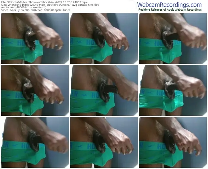 stripchat-phbbcsham-10-26-2024-19-48-07