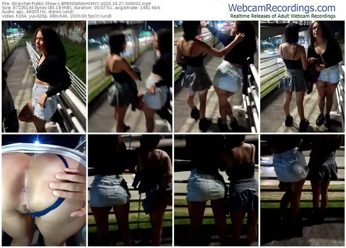 stripchat-brendanahomyy-10-27-2024-00-40-02