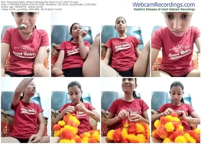 stripchat-aleena_rai-10-27-2024-19-57-10