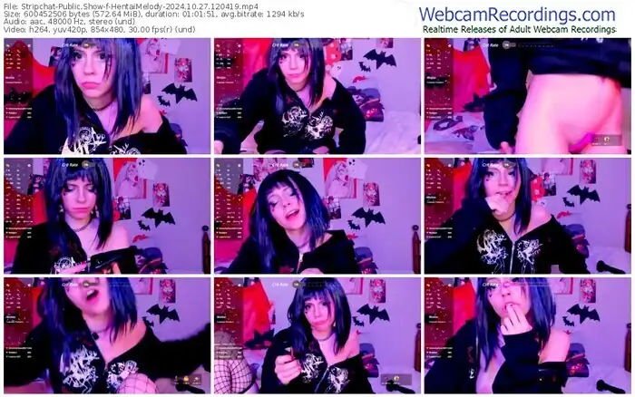 stripchat-hentaimelody-10-27-2024-12-04-19