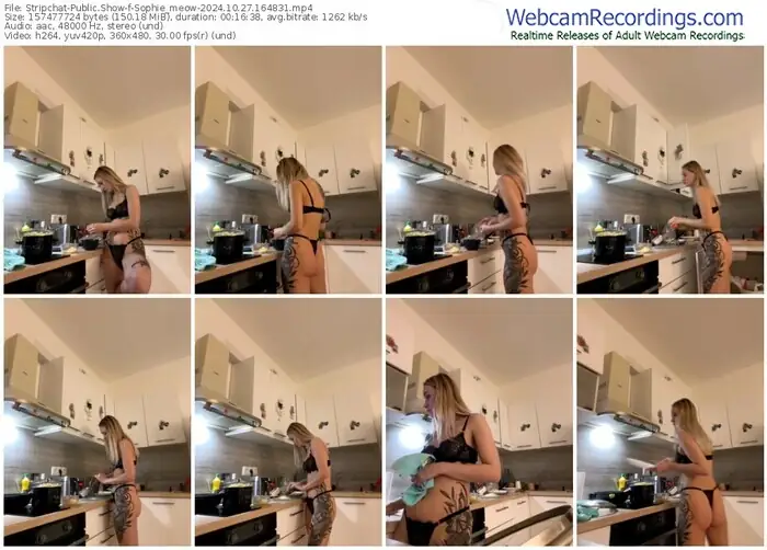 stripchat-sophie_meow-10-27-2024-16-48-31