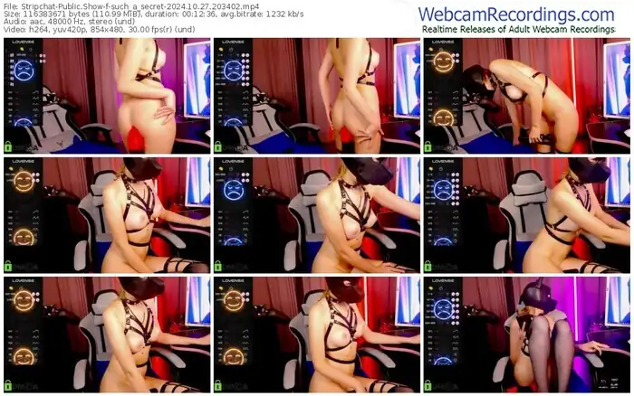 stripchat-such_a_secret-10-27-2024-20-34-02