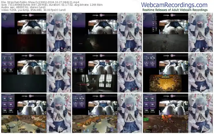 stripchat-z23002-10-27-2024-08-41-21