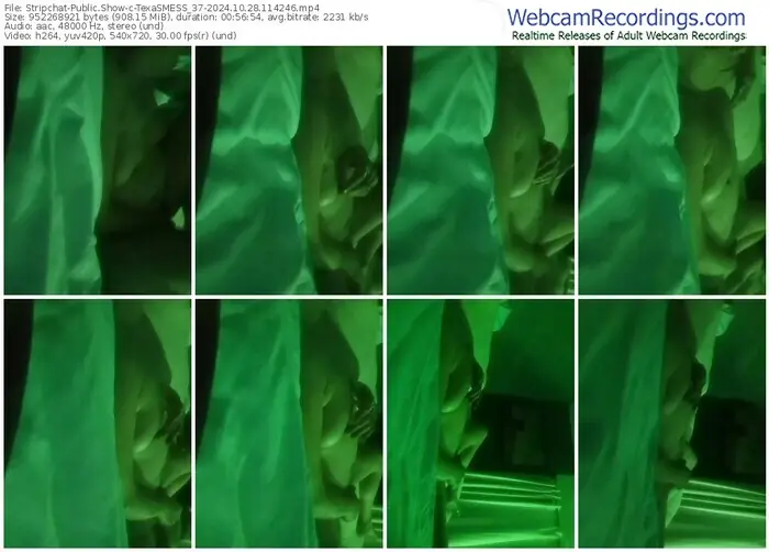 stripchat-texasmess_37-10-28-2024-11-42-46