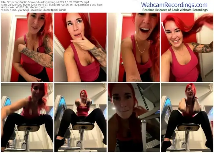 stripchat-black-flamingo-10-28-2024-20-02-05