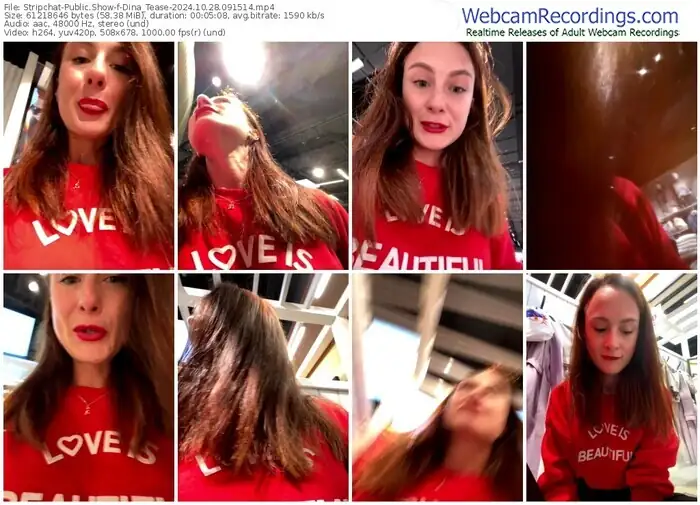 stripchat-dina_tease-10-28-2024-09-15-14