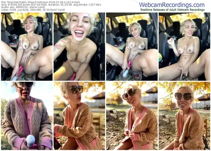 stripchat-hotnessi-10-28-2024-11-31-14