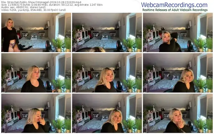 stripchat-monageil-10-28-2024-15-19-39