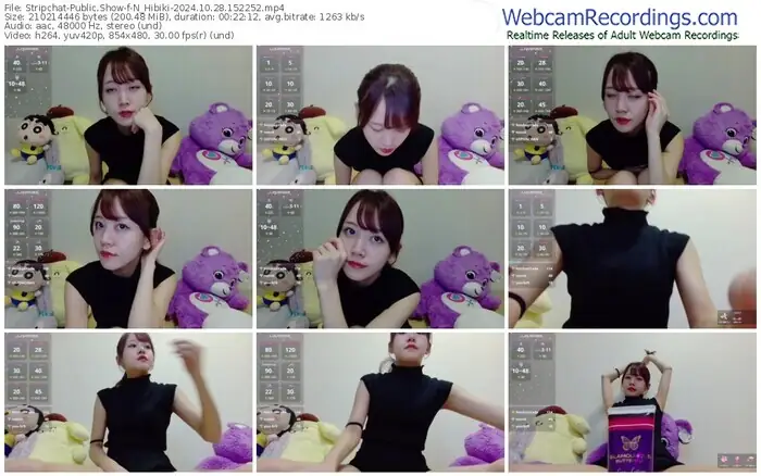 stripchat-n_hibiki-10-28-2024-15-22-52