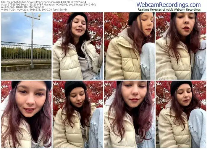 stripchat-poppyrobinson-10-28-2024-12-52-27