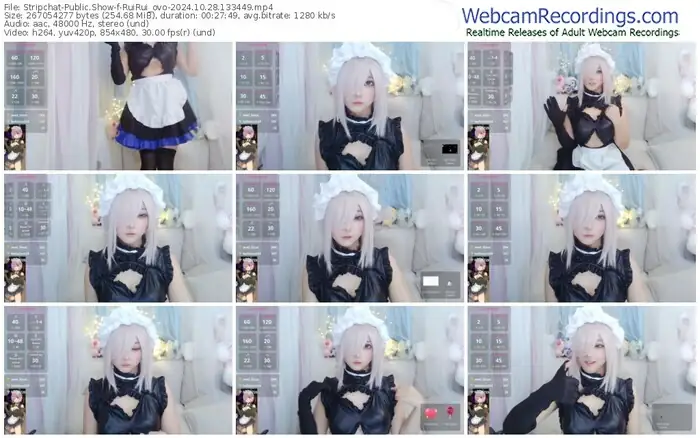 stripchat-ruirui_ovo-10-28-2024-13-34-49