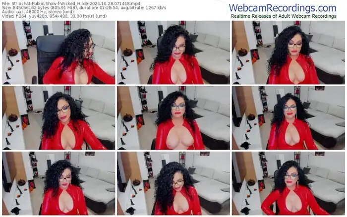 stripchat-wicked_hilde-10-28-2024-07-14-18