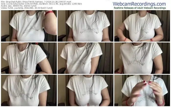 stripchat-wild_fantasy_7-10-28-2024-23-40-37