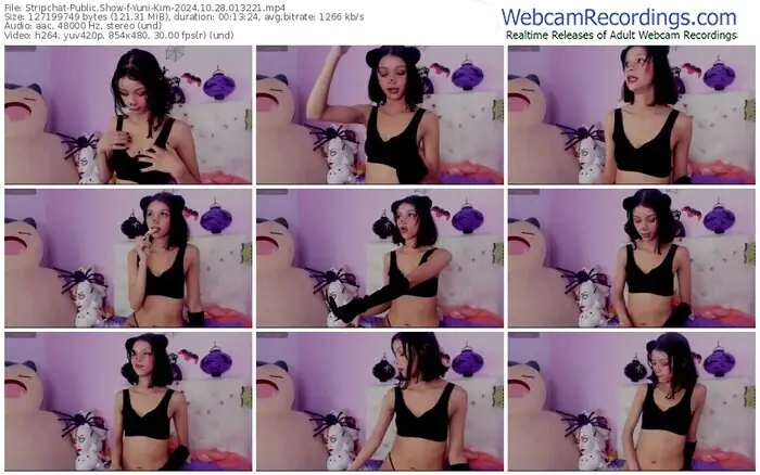 stripchat-yuni-kim-10-28-2024-01-32-21