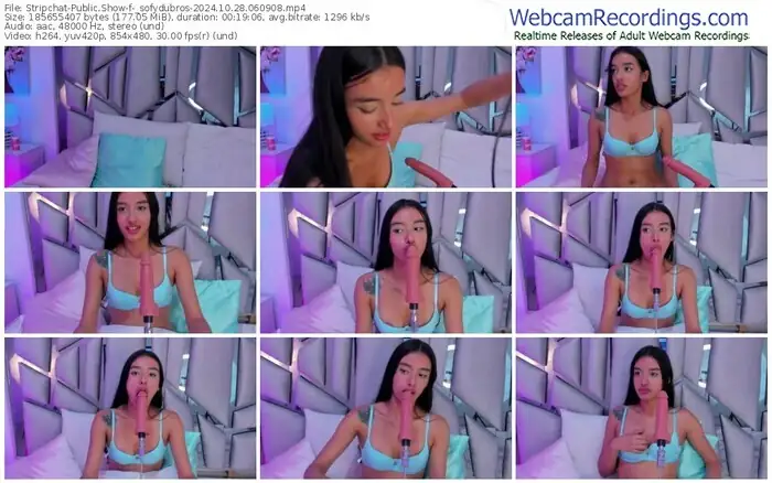 stripchat-_sofydubros-10-28-2024-06-09-08